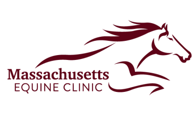 Massachusetts Equine Clinic-HEADERLOGO